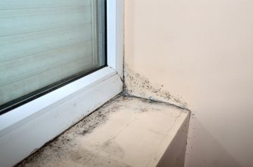 Mold removal by Greene's Air Quality South Florida