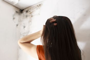 Attic Mold Removal in Riviera Beach, Florida by Greene's Air Quality South Florida