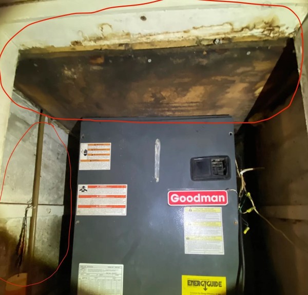 Mold Inspection in Pompanoo Beach, FL (1)