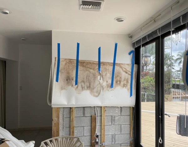 Mold Remediation in Davie, FL (1)