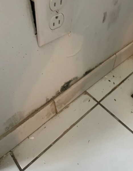 Mold Remediation in Boynton Beach, FL (1)