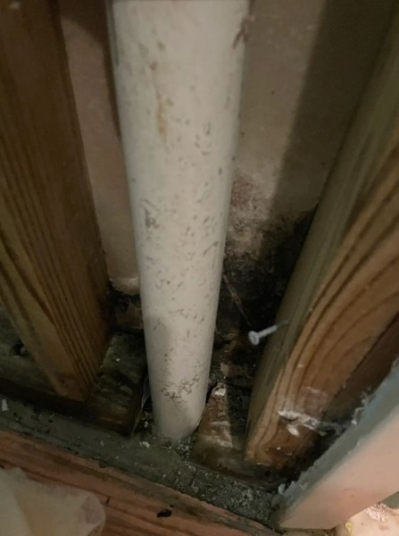 Mold Inspection in Boca Raton, FL (1)