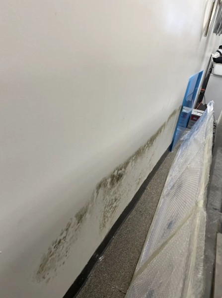 Mold Remedation in West Palm Beach, FL (1)