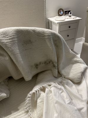 Mold Removal in Pompano Beach, FL (1)