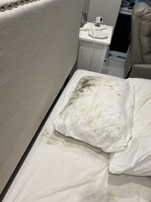 Mold Removal in Pompano Beach, FL (2)