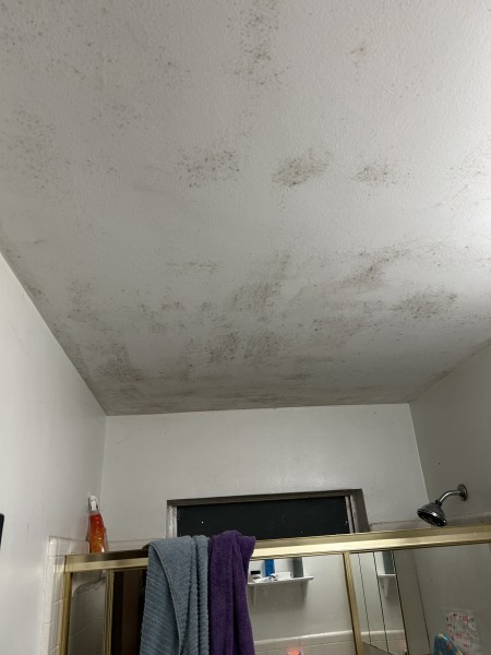 Mold Remediation in West Palm Beach, FL (1)
