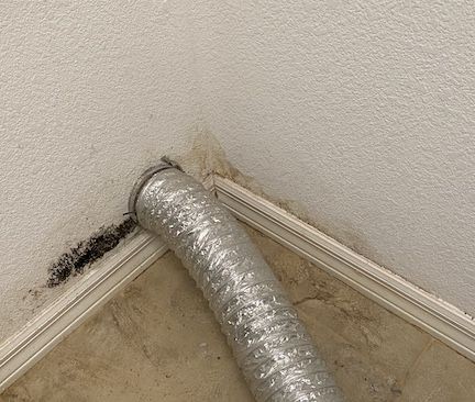 Mold Remediation in Coral Springs, FL (1)